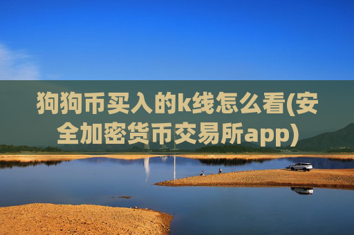 狗狗币买入的k线怎么看(安全加密货币交易所app)