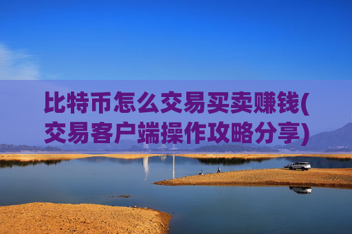 比特币怎么交易买卖赚钱(交易客户端操作攻略分享)