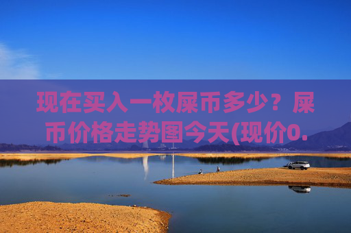 现在买入一枚屎币多少？屎币价格走势图今天(现价0.0001607元)