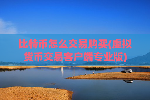 比特币怎么交易购买(虚拟货币交易客户端专业版)