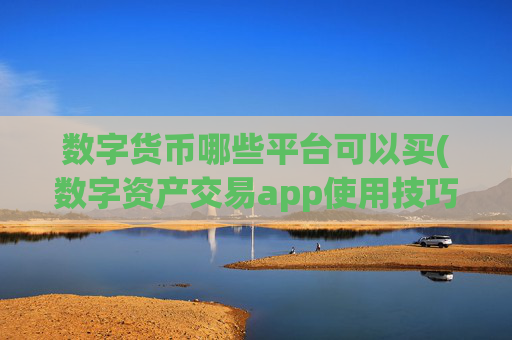 数字货币哪些平台可以买(数字资产交易app使用技巧分享)