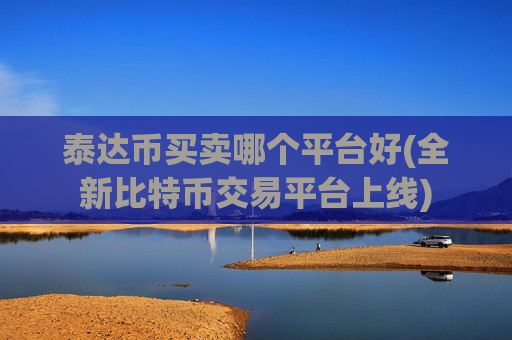 泰达币买卖哪个平台好(全新比特币交易平台上线)