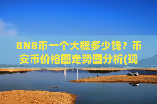 BNB币一个大概多少钱？币安币价格图走势图分析(现价4844.14元)