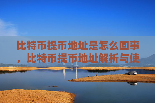 比特币提币地址是怎么回事，比特币提币地址解析与使用指南