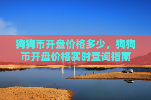 狗狗币开盘价格多少，狗狗币开盘价格实时查询指南