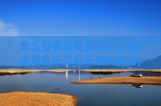 怎么查有没有买过以太坊(虚拟货币交易所选购技巧)