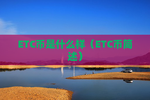 ETC币是什么样（ETC币简述）