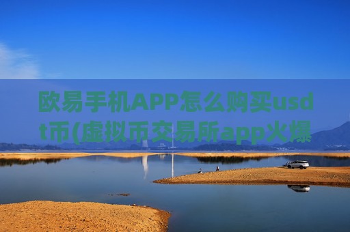 欧易手机APP怎么购买usdt币(虚拟币交易所app火爆推出)