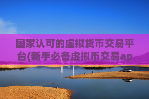 国家认可的虚拟货币交易平台(新手必备虚拟币交易app)