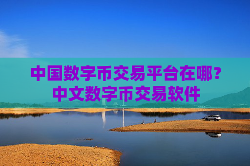 中国数字币交易平台在哪？中文数字币交易软件