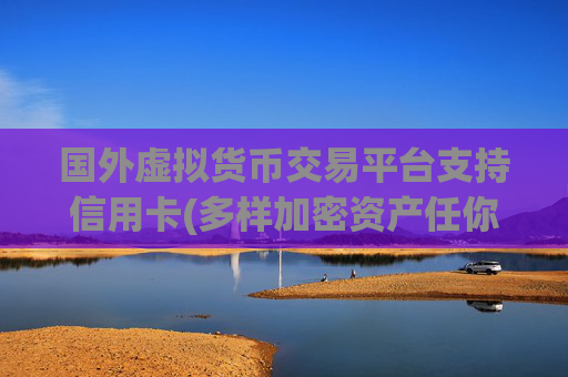 国外虚拟货币交易平台支持信用卡(多样加密资产任你选)