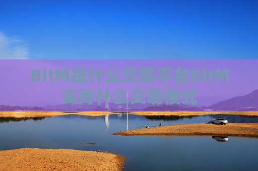 BitM是什么交易平台BitM支持什么交易模式