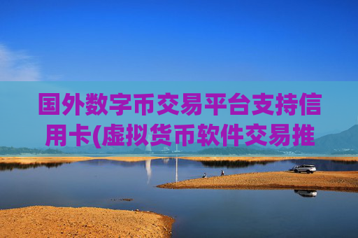 国外数字币交易平台支持信用卡(虚拟货币软件交易推荐)