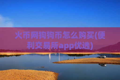 火币网狗狗币怎么购买(便利交易所app优选)