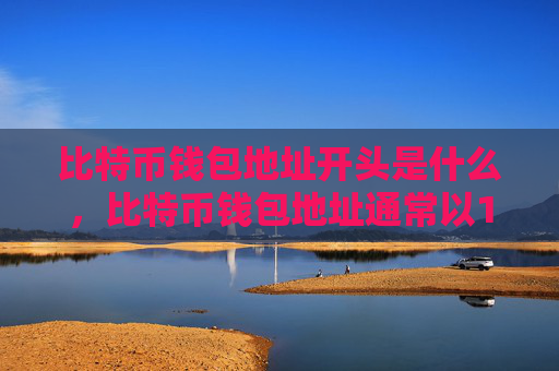 比特币钱包地址开头是什么，比特币钱包地址通常以1或3开头