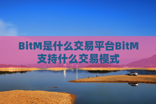 BitM是什么交易平台BitM支持什么交易模式