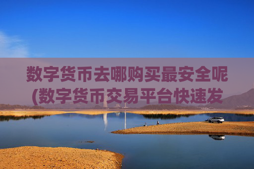 数字货币去哪购买最安全呢(数字货币交易平台快速发展)