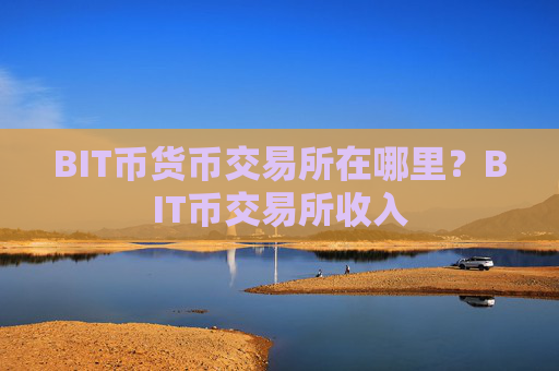 BIT币货币交易所在哪里？BIT币交易所收入