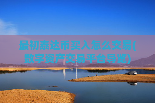 最初泰达币买入怎么交易(数字资产交易平台导览)