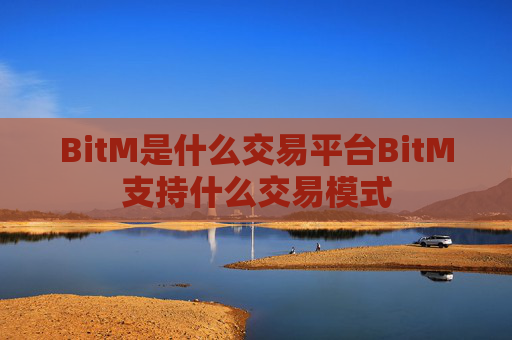 BitM是什么交易平台BitM支持什么交易模式