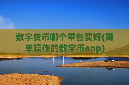 数字货币哪个平台买好(简单操作的数字币app)