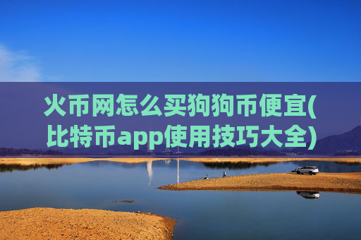 火币网怎么买狗狗币便宜(比特币app使用技巧大全)