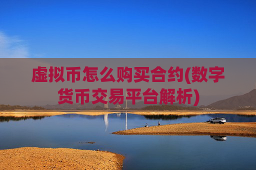 虚拟币怎么购买合约(数字货币交易平台解析)