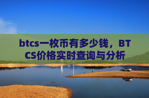 btcs一枚币有多少钱，BTCS价格实时查询与分析