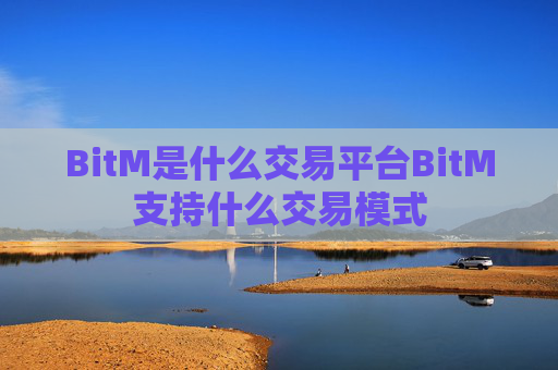 BitM是什么交易平台BitM支持什么交易模式