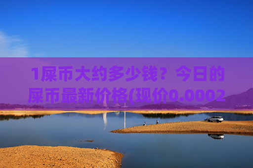 1屎币大约多少钱？今日的屎币最新价格(现价0.00021715元)