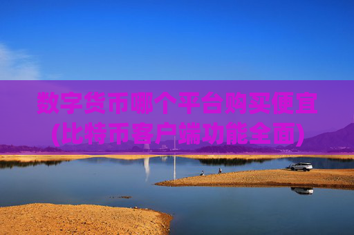 数字货币哪个平台购买便宜(比特币客户端功能全面)