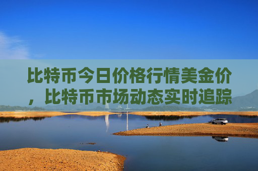 比特币今日价格行情美金价，比特币市场动态实时追踪