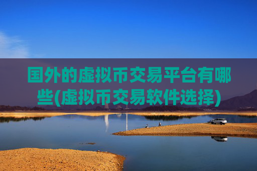 国外的虚拟币交易平台有哪些(虚拟币交易软件选择)