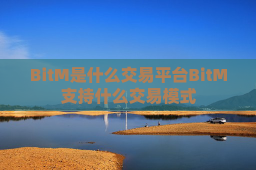BitM是什么交易平台BitM支持什么交易模式
