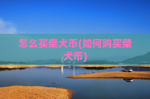 怎么买柴犬币(如何购买柴犬币)