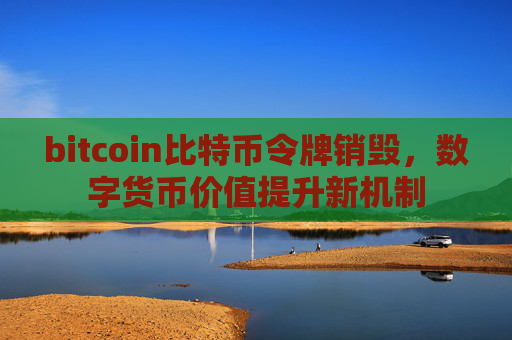 bitcoin比特币令牌销毁，数字货币价值提升新机制