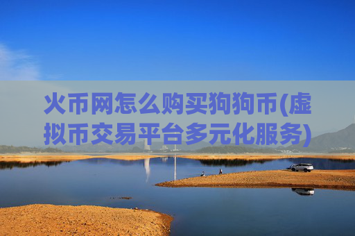火币网怎么购买狗狗币(虚拟币交易平台多元化服务)