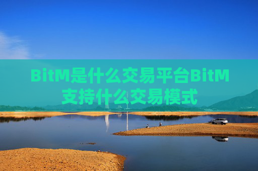BitM是什么交易平台BitM支持什么交易模式