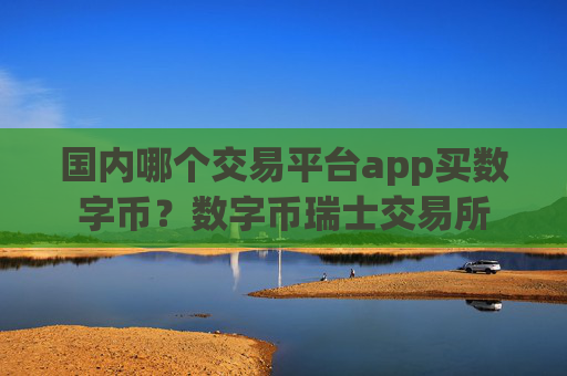 国内哪个交易平台app买数字币？数字币瑞士交易所