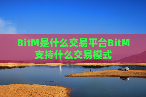 BitM是什么交易平台BitM支持什么交易模式