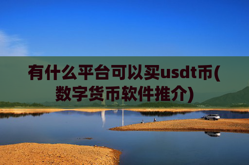 有什么平台可以买usdt币(数字货币软件推介)