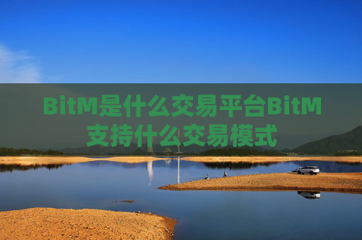 BitM是什么交易平台BitM支持什么交易模式