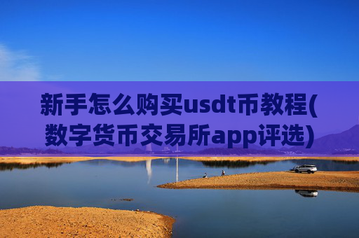 新手怎么购买usdt币教程(数字货币交易所app评选)