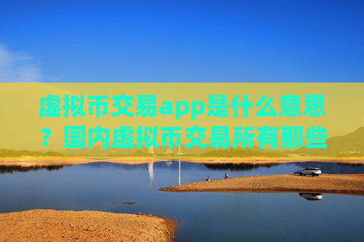 虚拟币交易app是什么意思？国内虚拟币交易所有那些