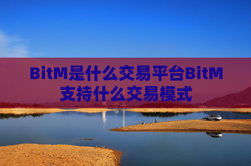 BitM是什么交易平台BitM支持什么交易模式
