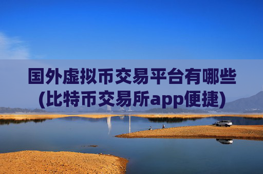 国外虚拟币交易平台有哪些(比特币交易所app便捷)