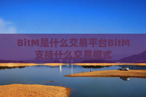 BitM是什么交易平台BitM支持什么交易模式