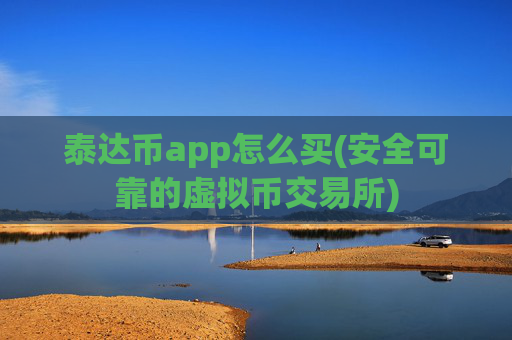 泰达币app怎么买(安全可靠的虚拟币交易所)