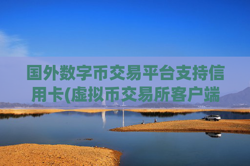 国外数字币交易平台支持信用卡(虚拟币交易所客户端下载攻略)