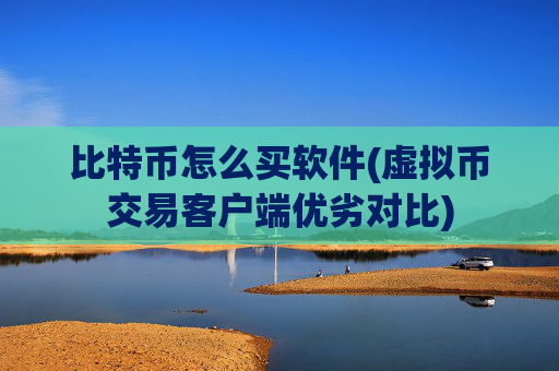 比特币怎么买软件(虚拟币交易客户端优劣对比)